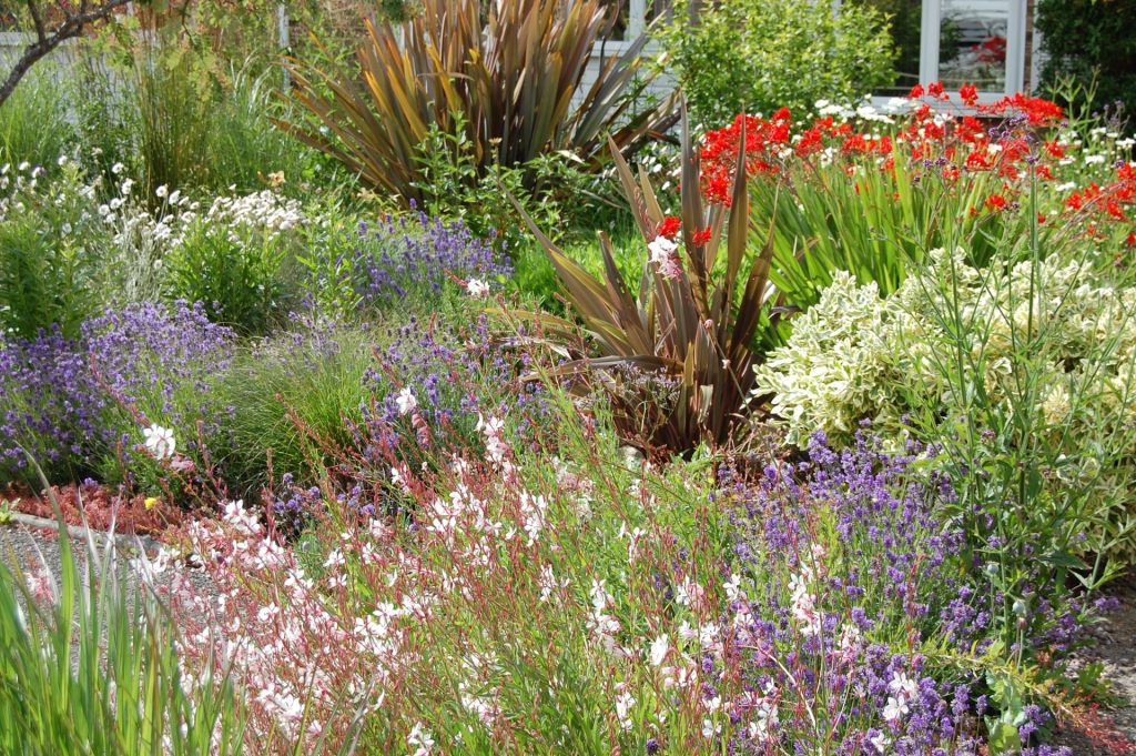 Steyning Gravel Garden